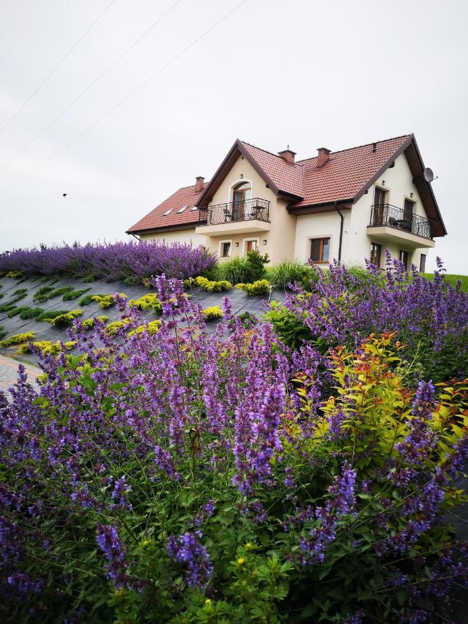 Apartamenty, Zielone Wzgorze Wiktora W Mikolajkach Mikołajki Exteriör bild